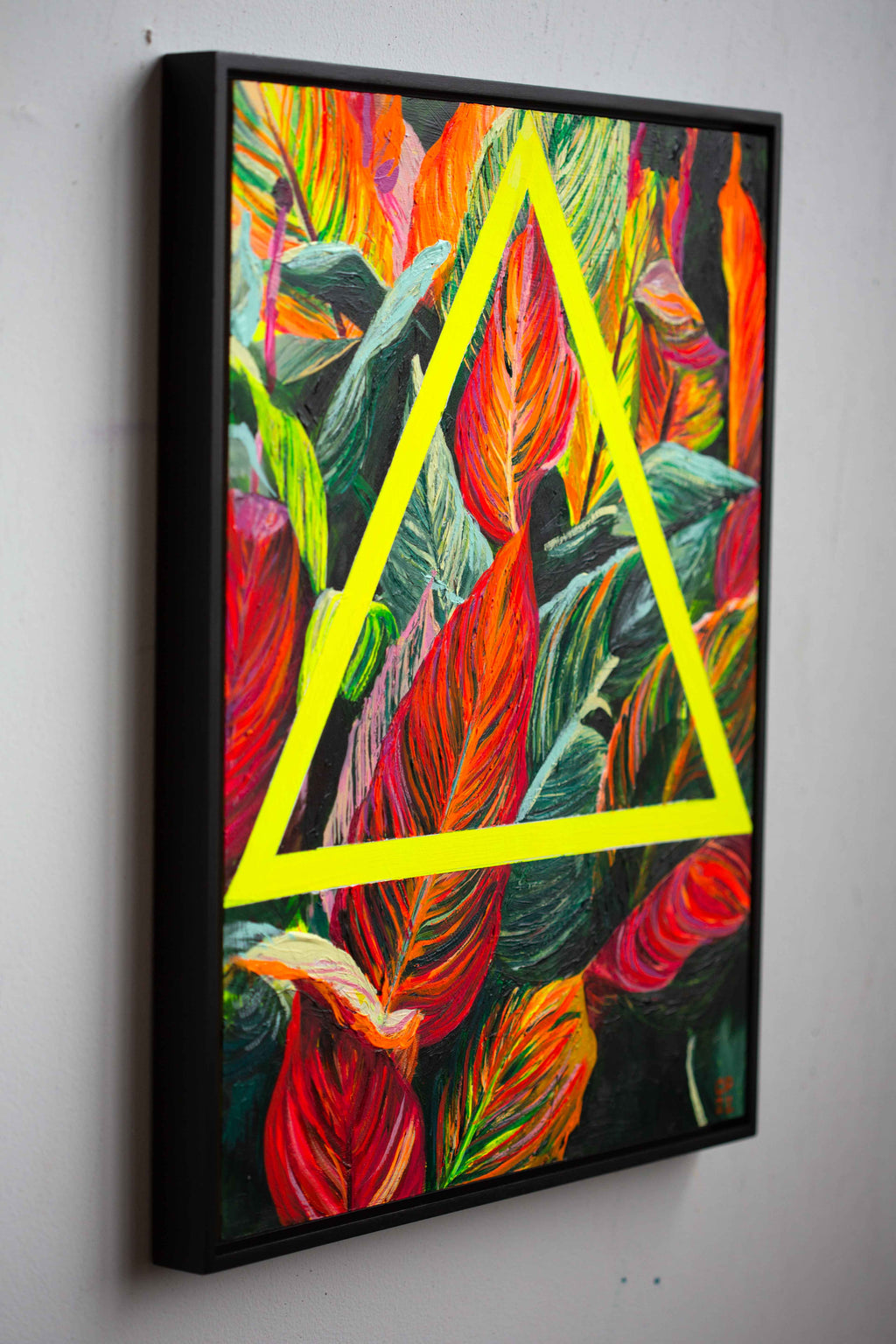 Canna Lillies