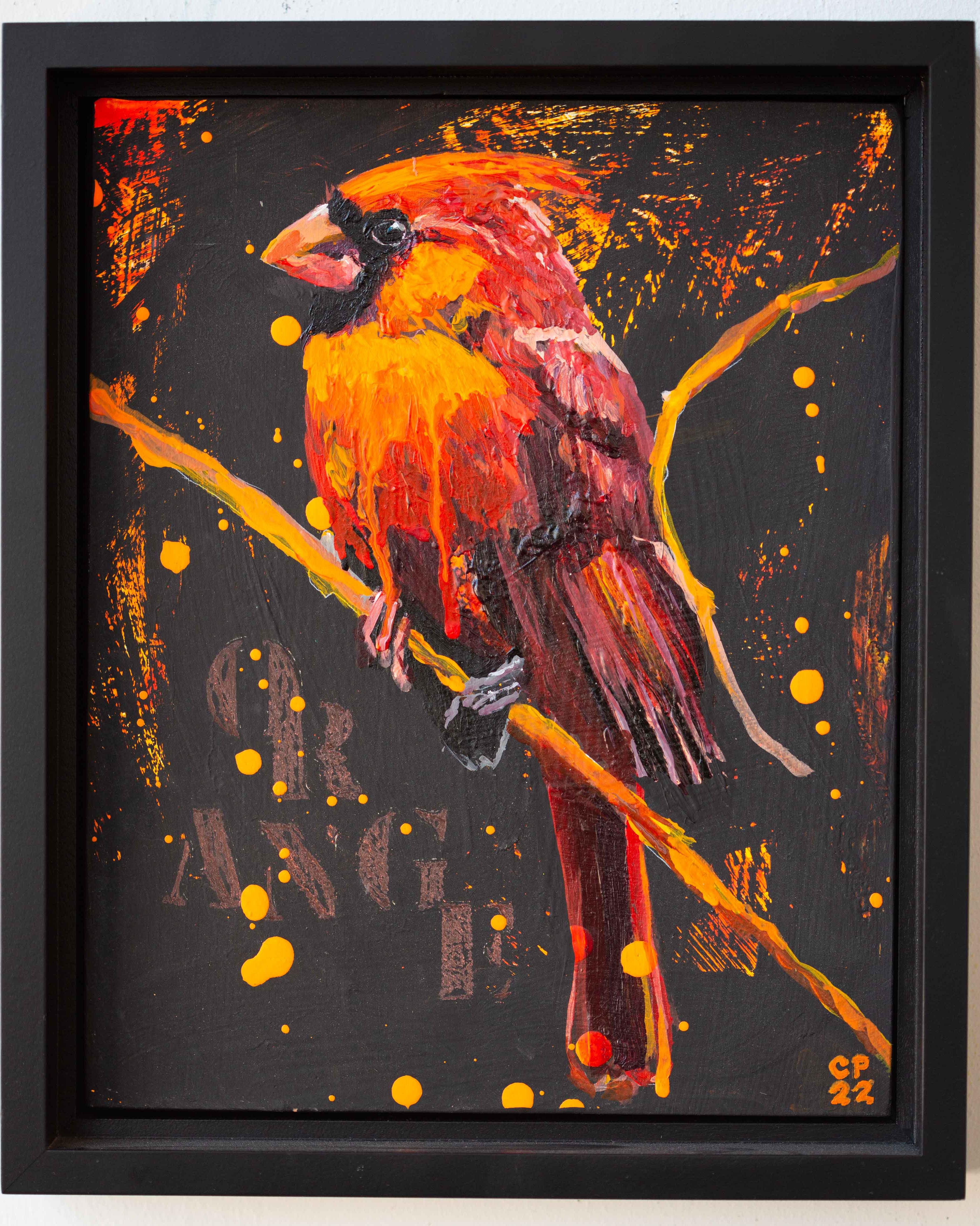Orange Cardinal