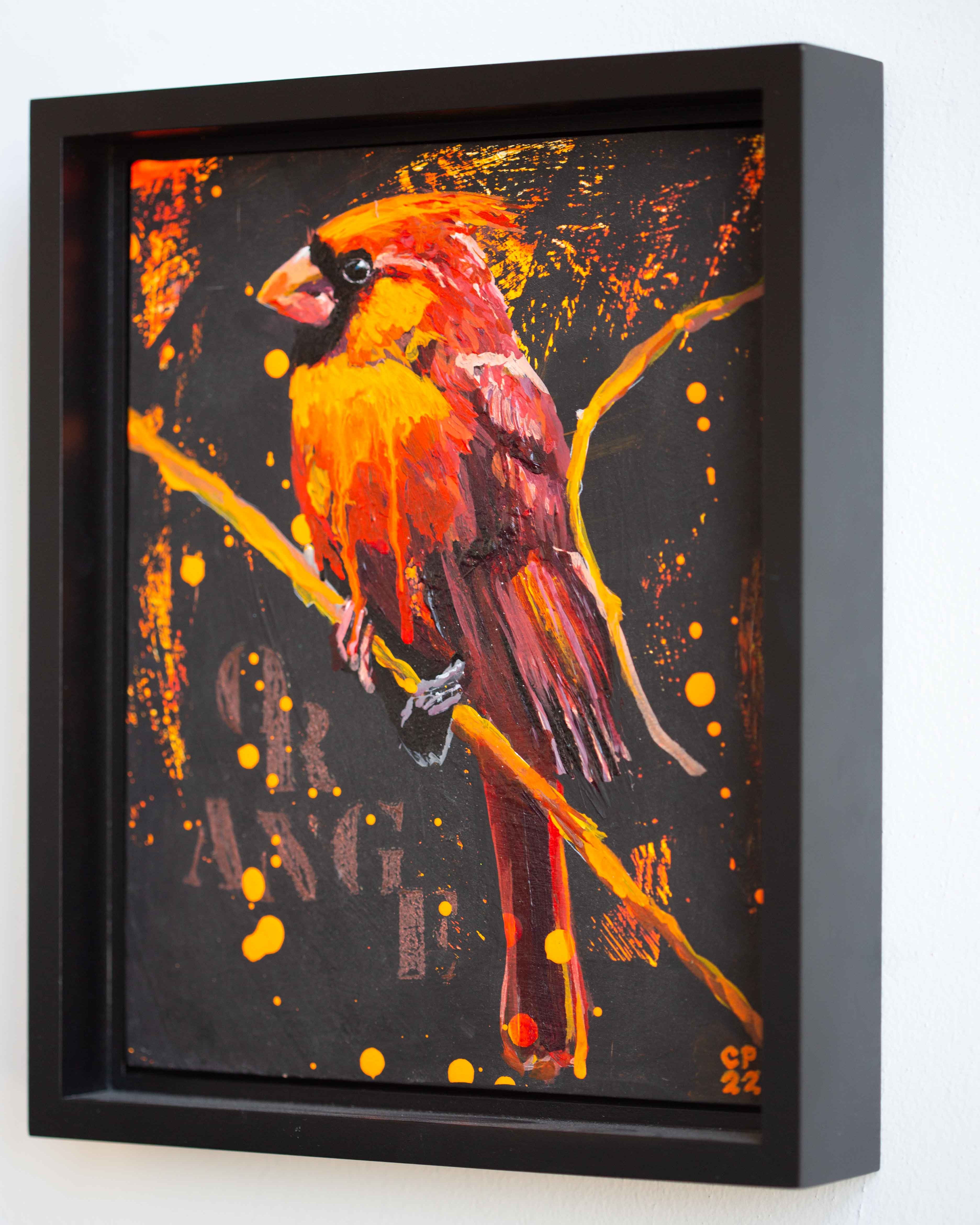 Orange Cardinal