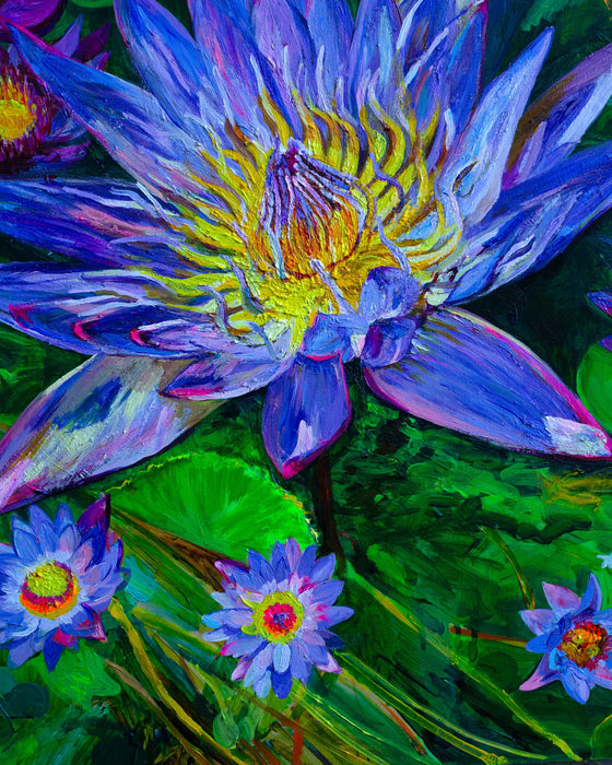 Blue Lotus Koi