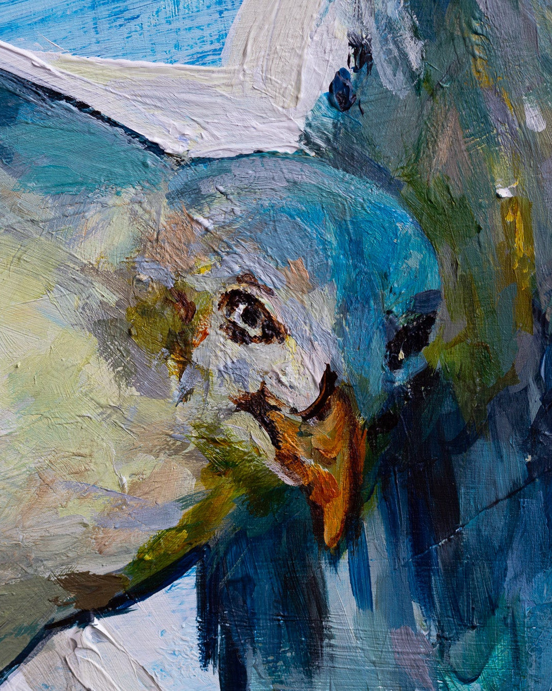 Seagull