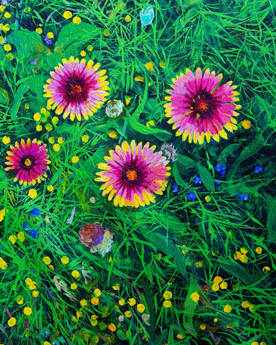 Galileo's Garden