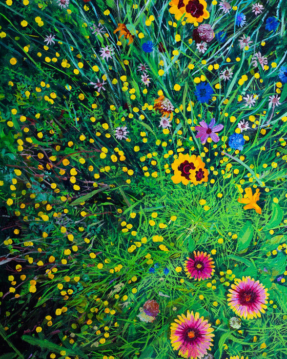 Galileo's Garden