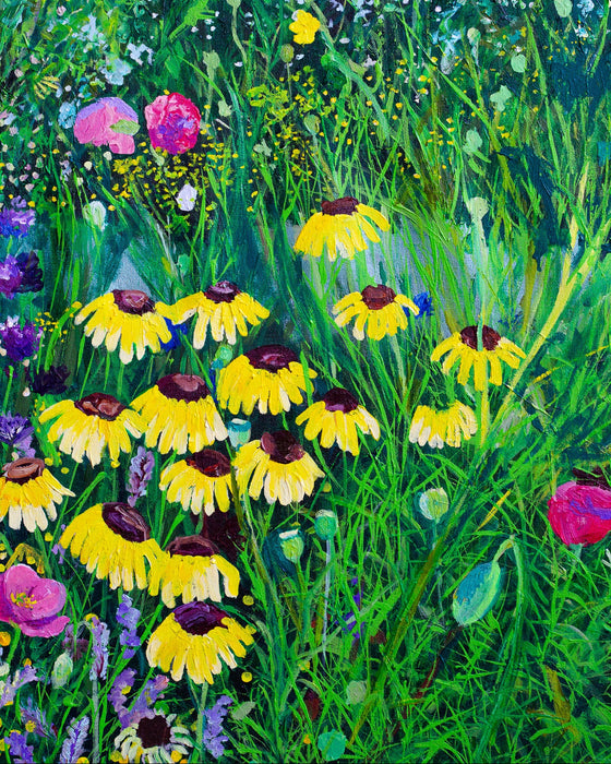Galileo's Garden