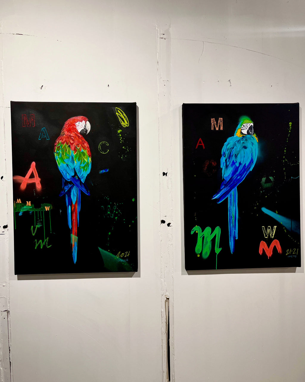 Blue Macaw