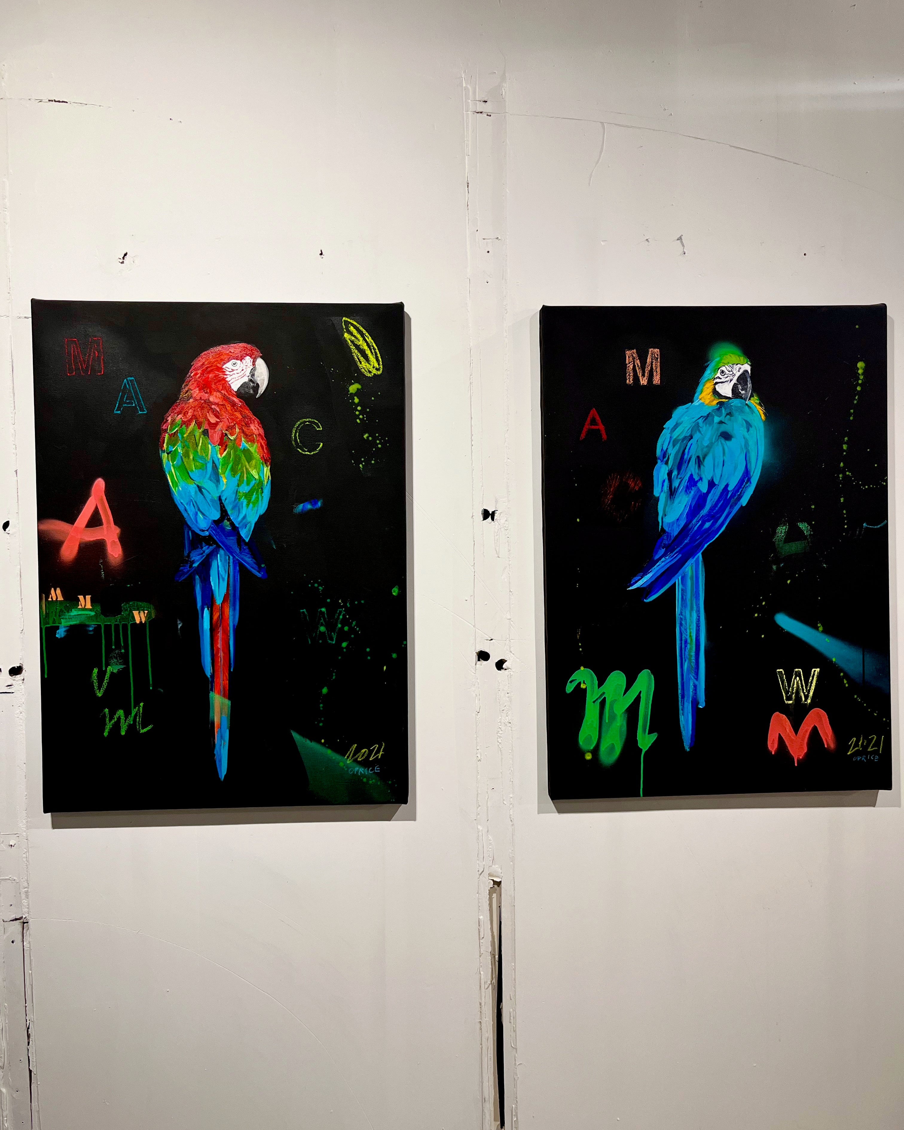 Blue Macaw