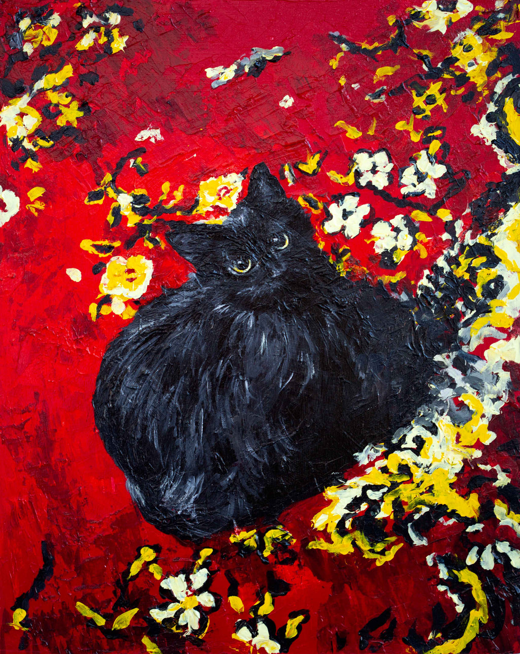 Mr Meow