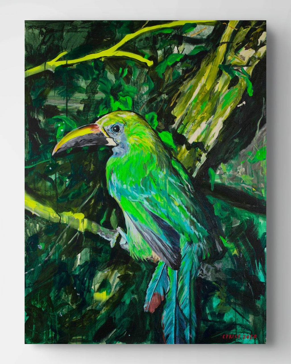 Barry the Bird