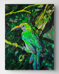 Barry the Bird