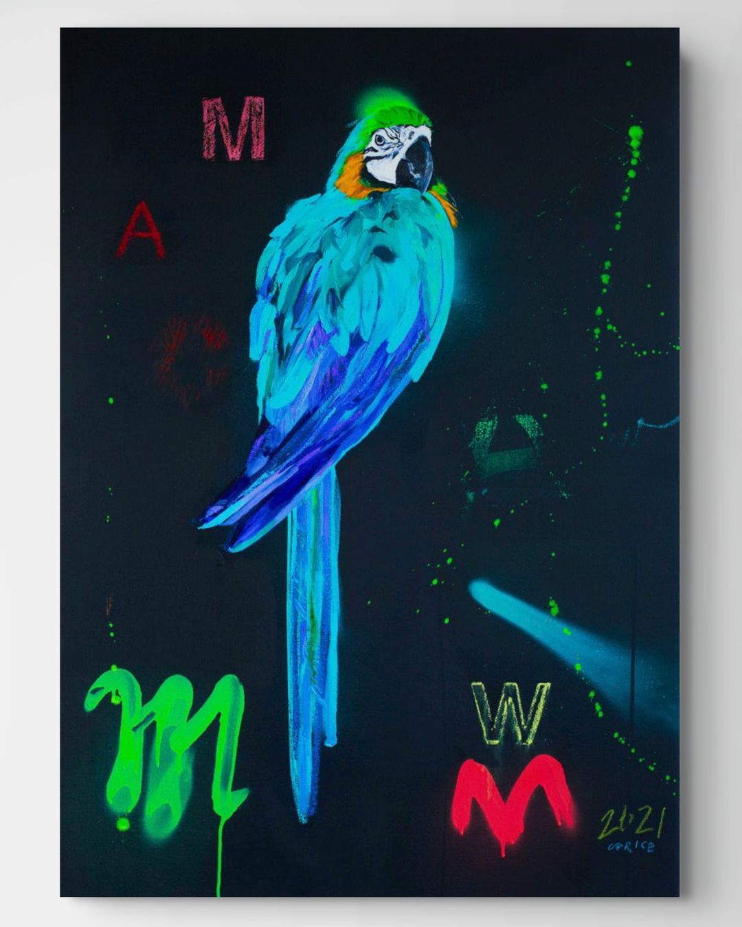 Blue Macaw