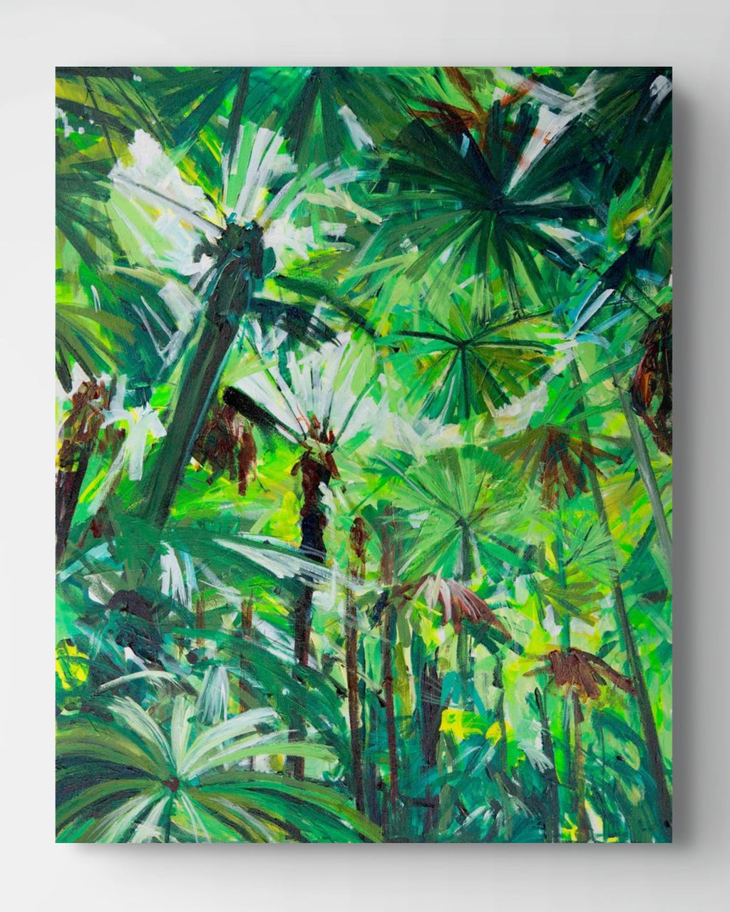 Cairns Rainforest