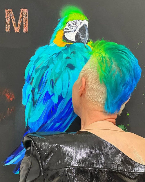 Blue Macaw