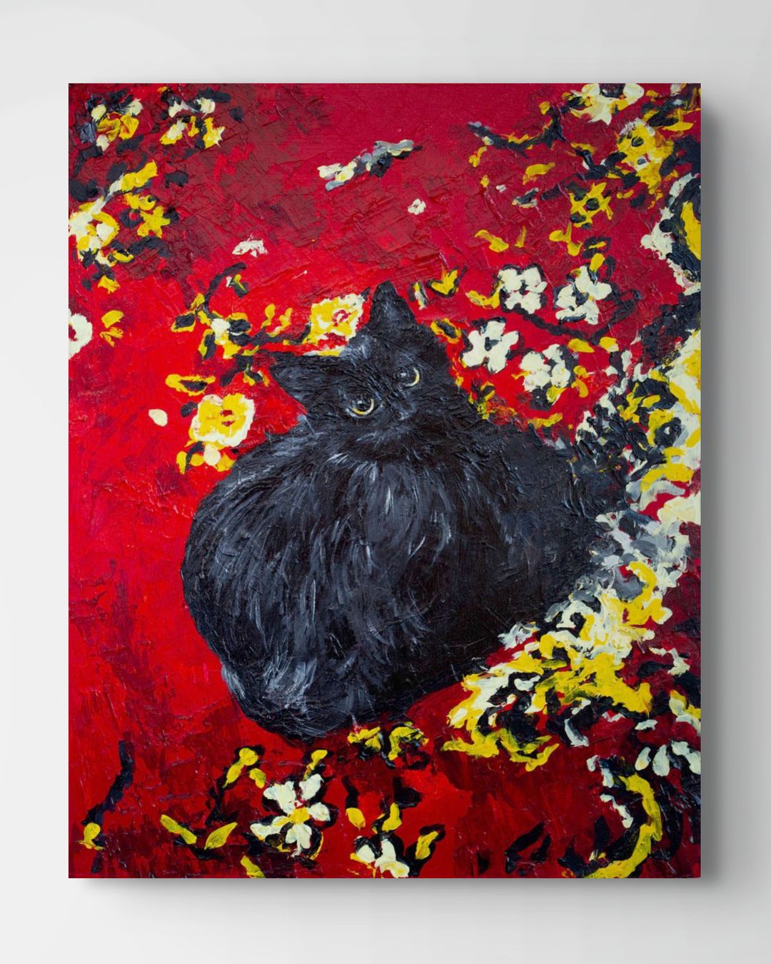 Mr Meow