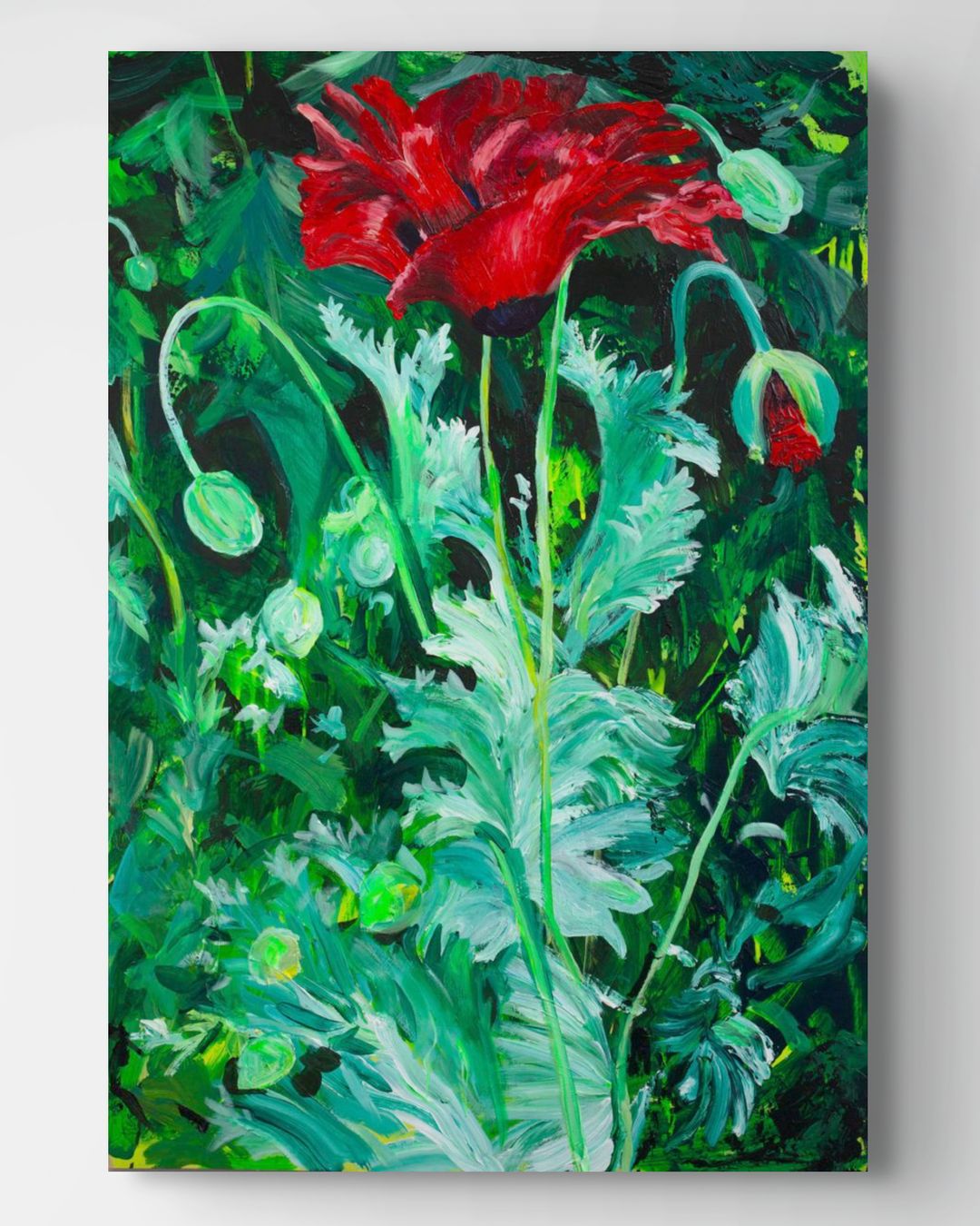 Poppy
