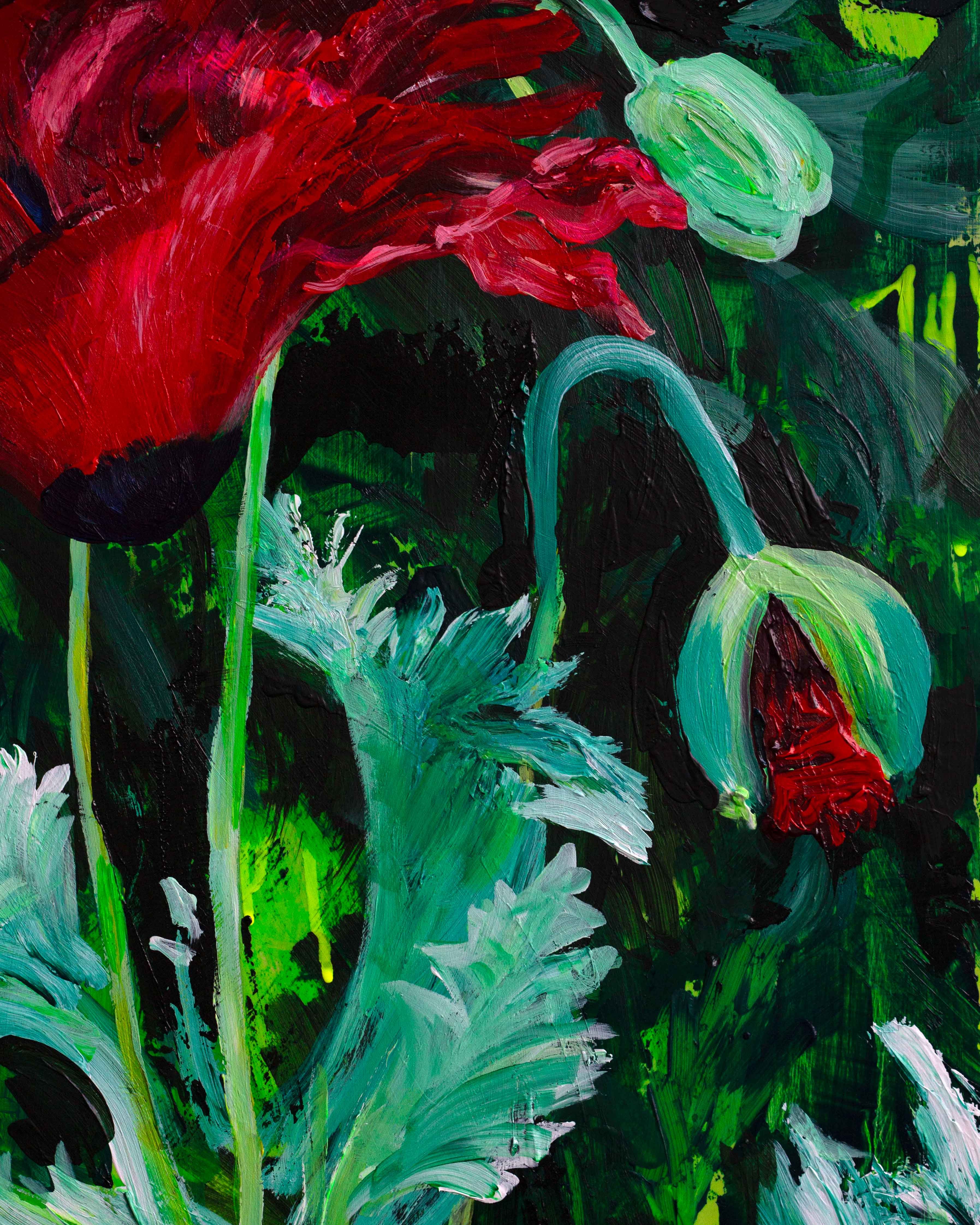 Poppy
