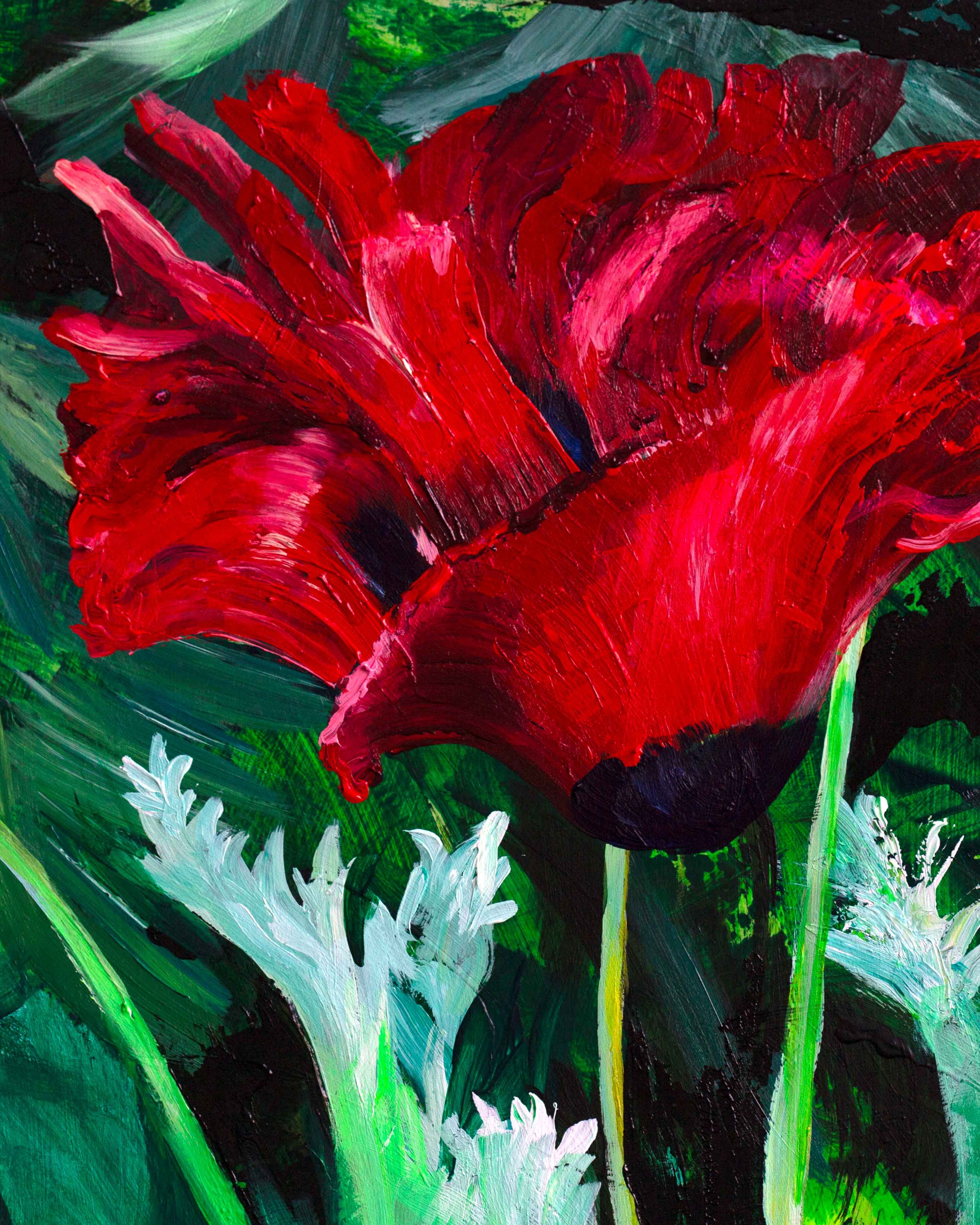 Poppy