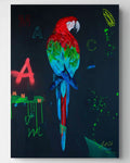 Red Macaw