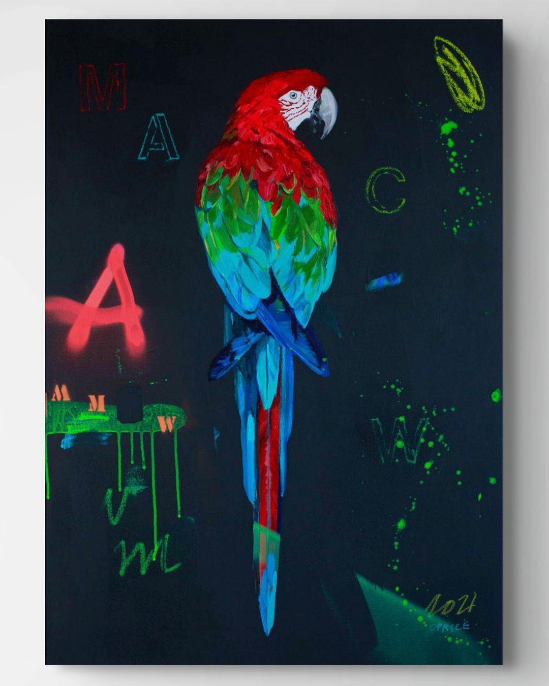 Red Macaw