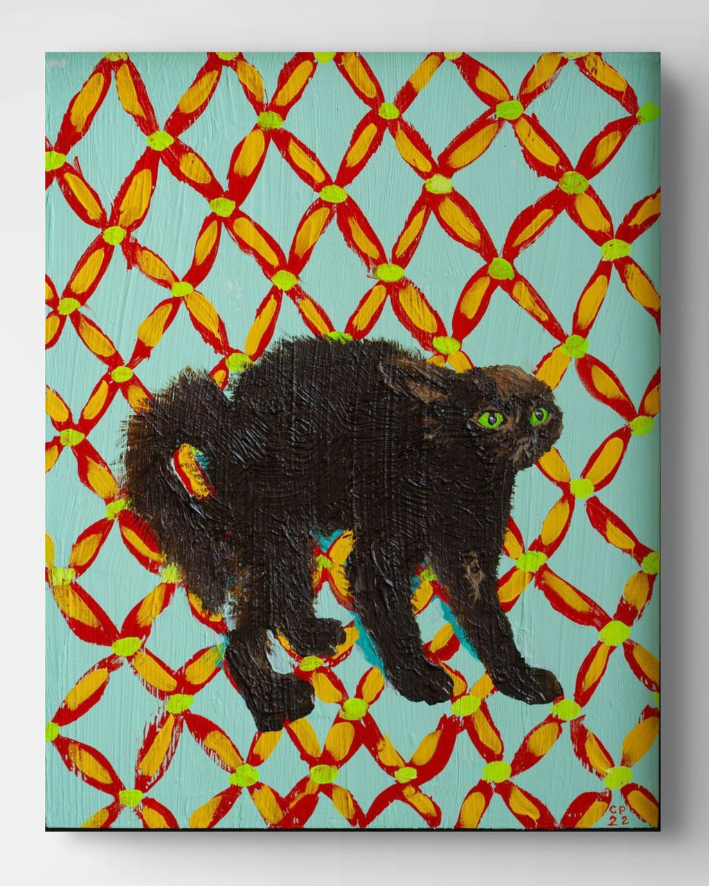 Scaredy Cat