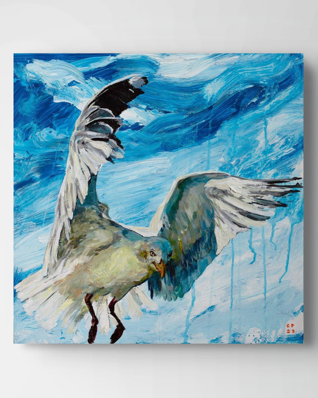 Seagull