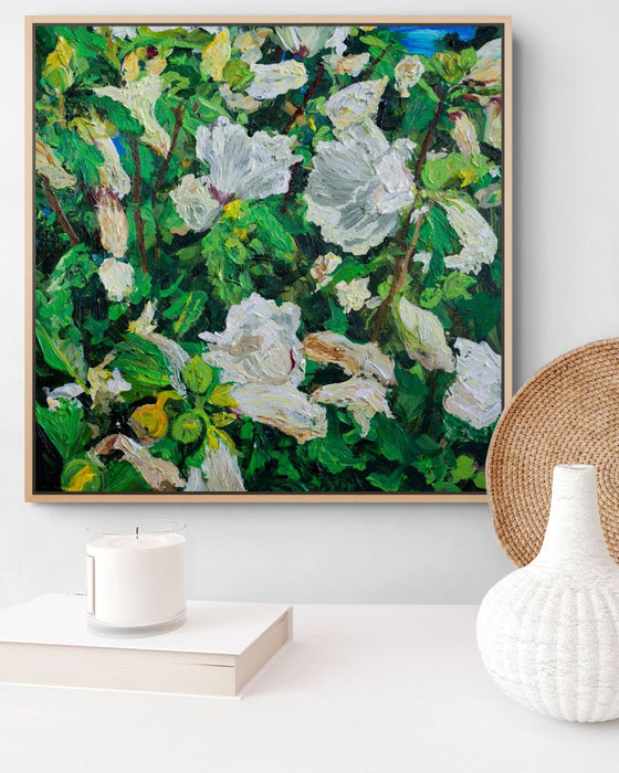 Wilting Rose of Sharon