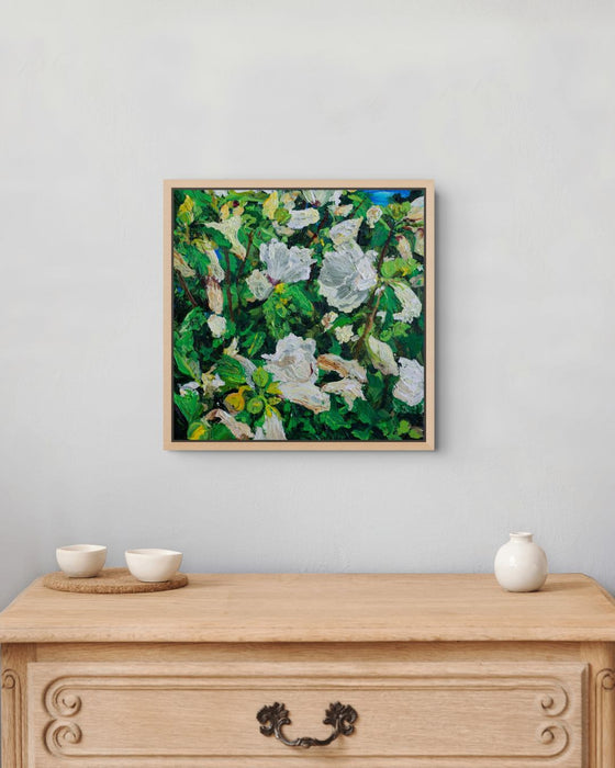 Wilting Rose of Sharon