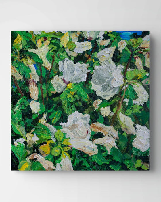 Wilting Rose of Sharon